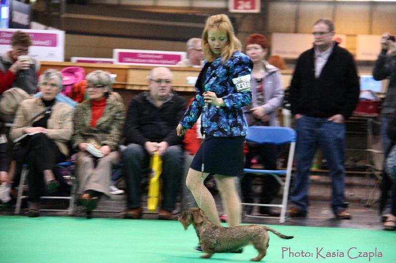 Crufts2011_2 1318.jpg